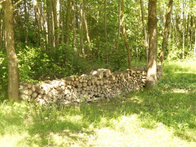 ホテル Camping Les Arbois Montjay  エクステリア 写真