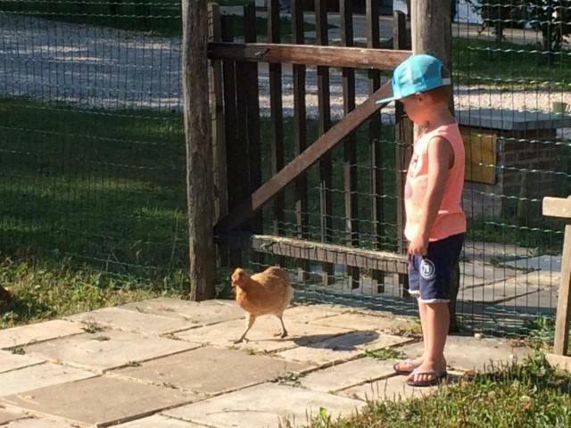ホテル Camping Les Arbois Montjay  エクステリア 写真